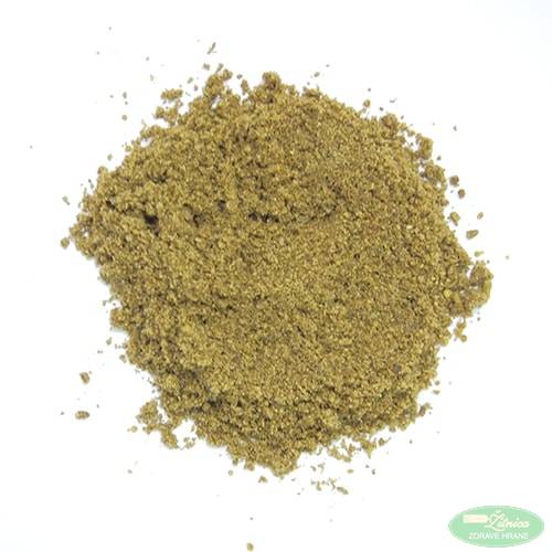 opt-12506-min